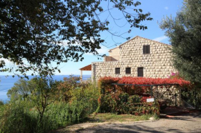 Apartments with a parking space Plat, Dubrovnik - 4792